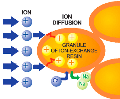 ion-exchange
