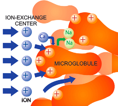 microglobule